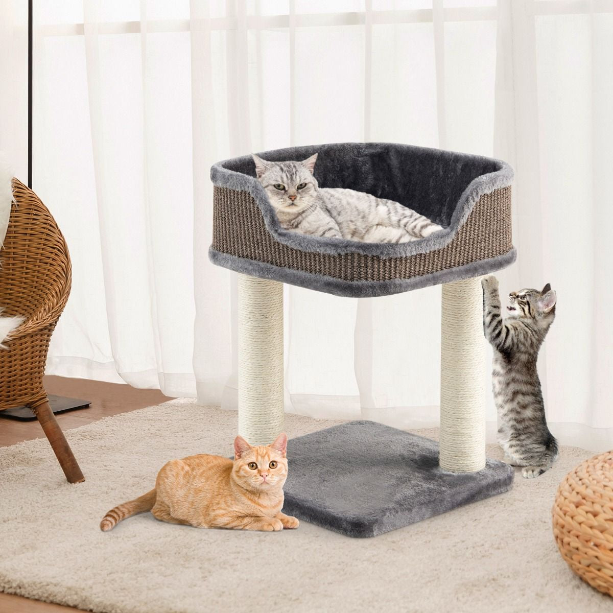 Tour D'Arbre À Chat Compacte Avec Perchoir En Peluche Et Griffoirs Pour Se Faire Ses Griffes Gris/Beige